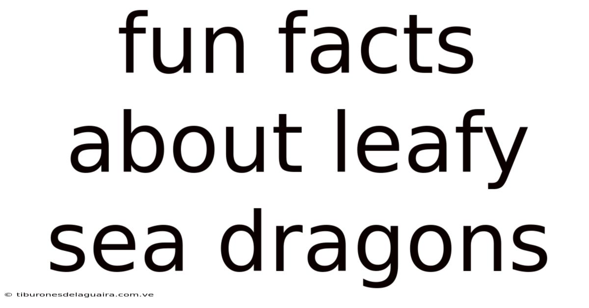 Fun Facts About Leafy Sea Dragons