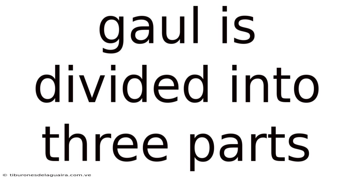 Gaul Is Divided Into Three Parts
