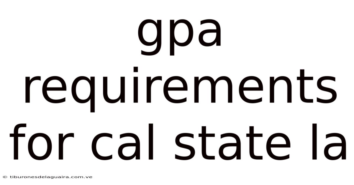 Gpa Requirements For Cal State La