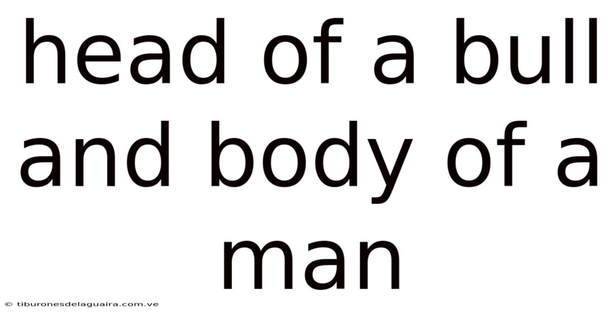 Head Of A Bull And Body Of A Man
