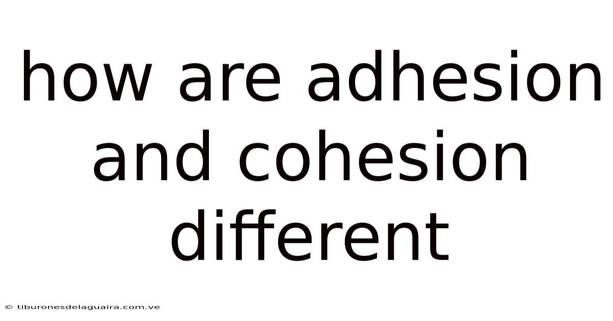 How Are Adhesion And Cohesion Different