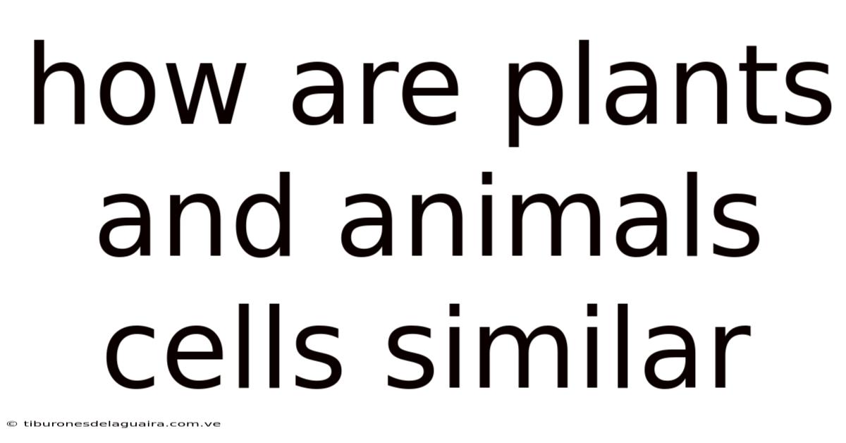 How Are Plants And Animals Cells Similar