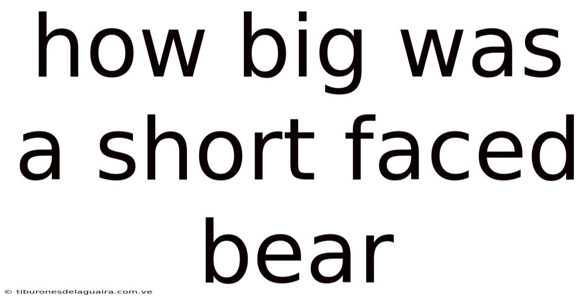 How Big Was A Short Faced Bear