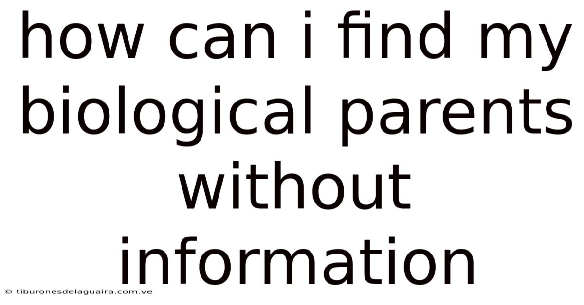How Can I Find My Biological Parents Without Information