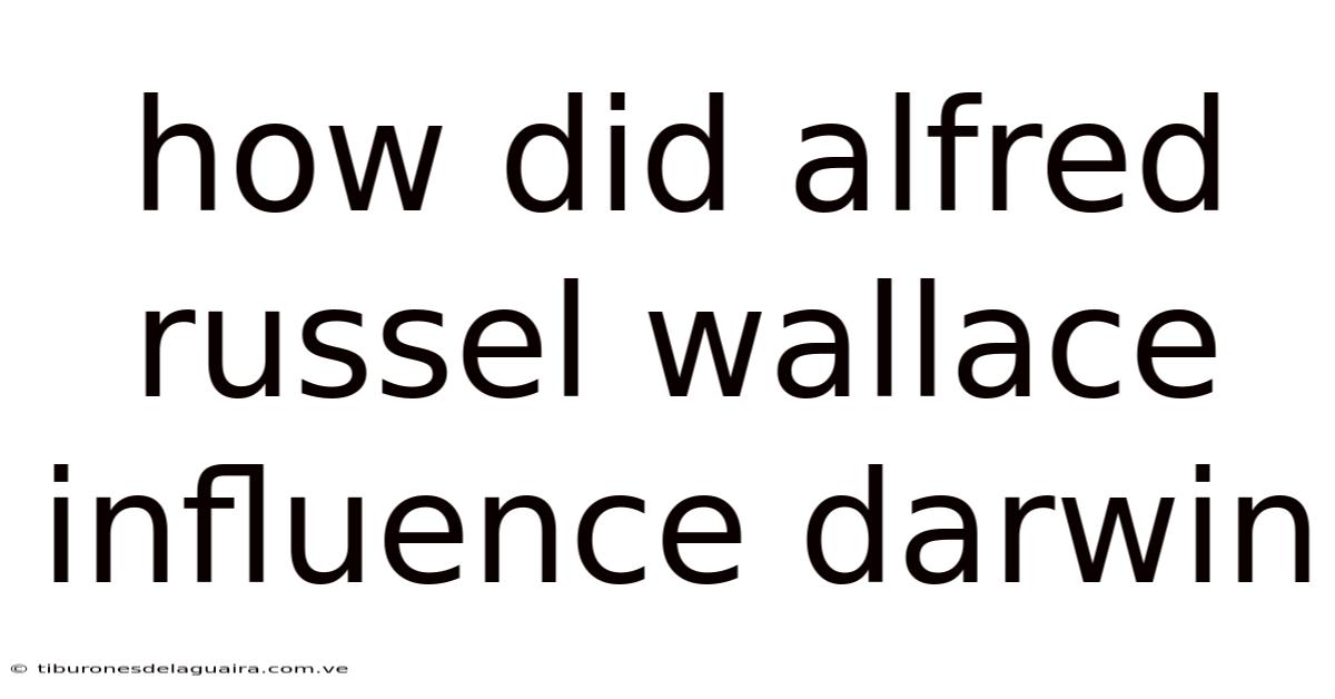 How Did Alfred Russel Wallace Influence Darwin