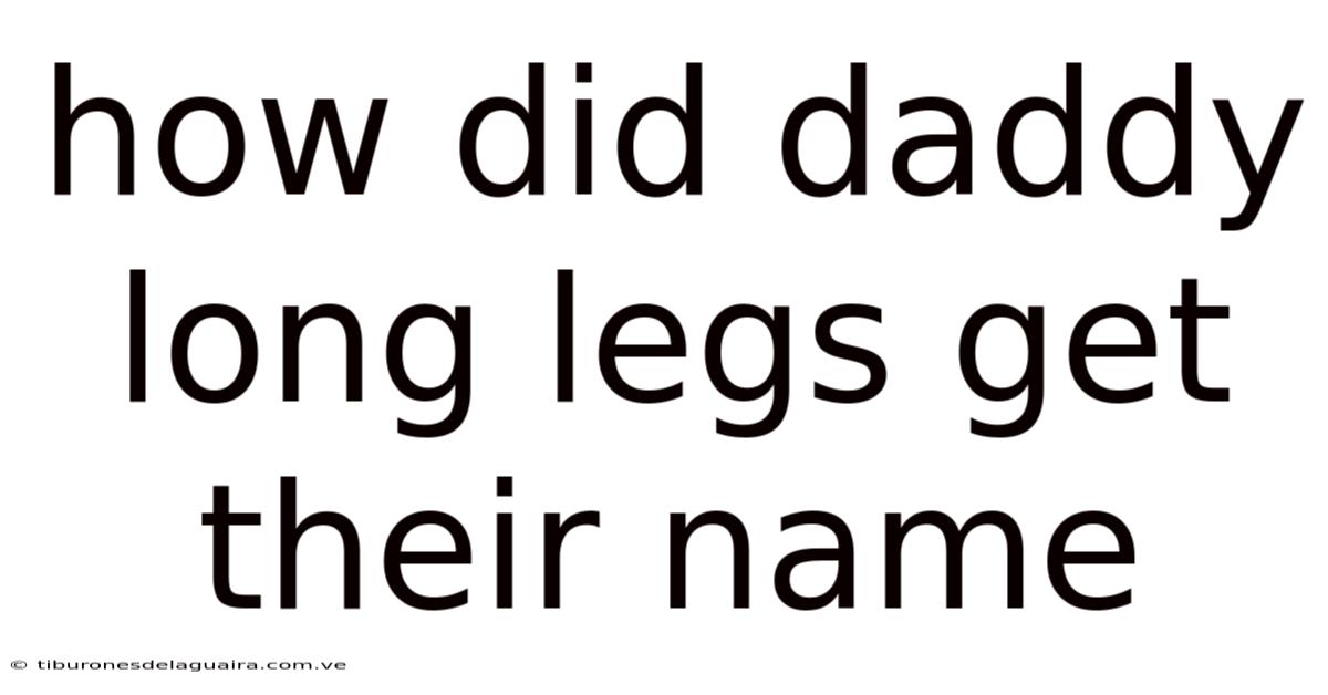 How Did Daddy Long Legs Get Their Name