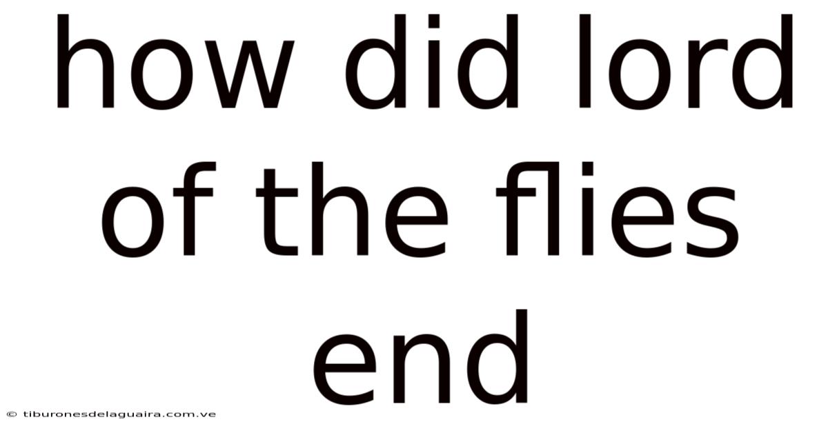 How Did Lord Of The Flies End