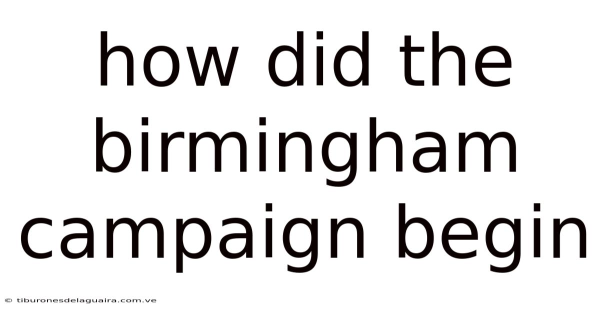 How Did The Birmingham Campaign Begin