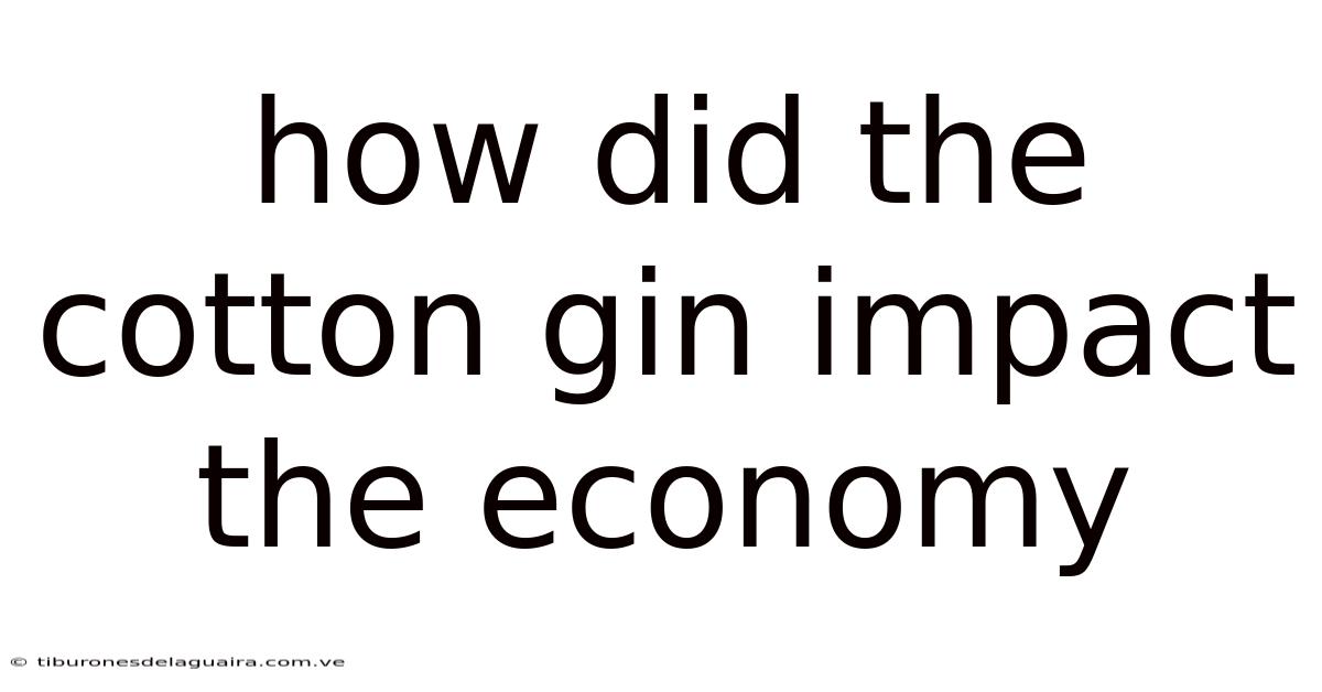How Did The Cotton Gin Impact The Economy