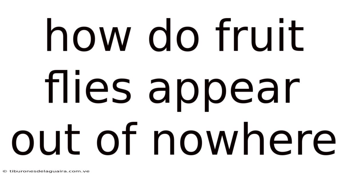 How Do Fruit Flies Appear Out Of Nowhere