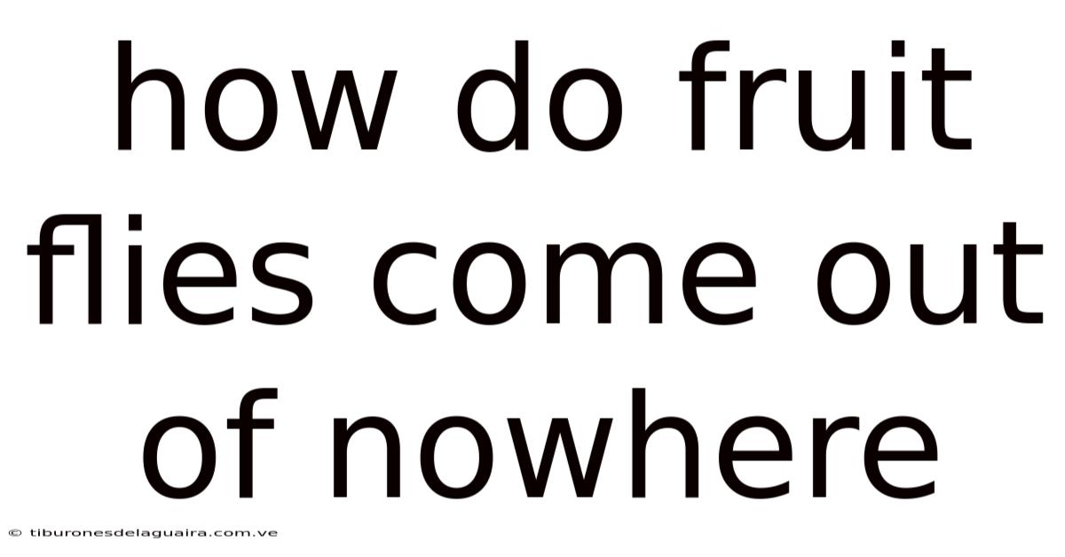 How Do Fruit Flies Come Out Of Nowhere