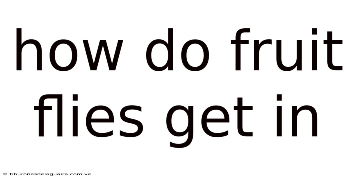 How Do Fruit Flies Get In