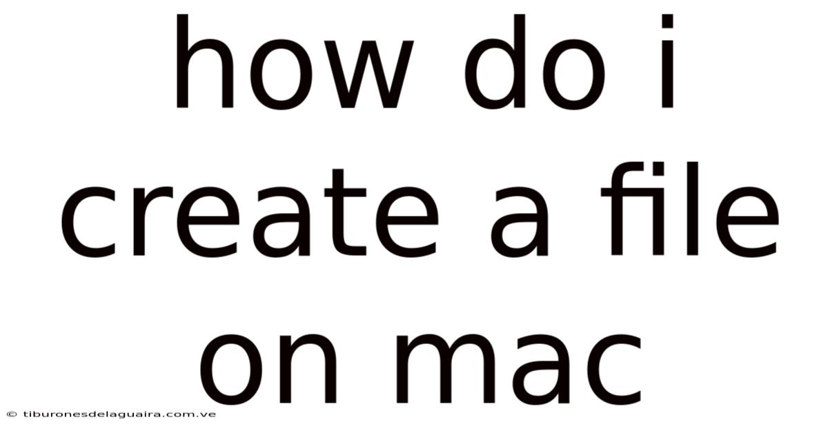 How Do I Create A File On Mac