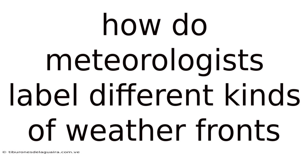 How Do Meteorologists Label Different Kinds Of Weather Fronts
