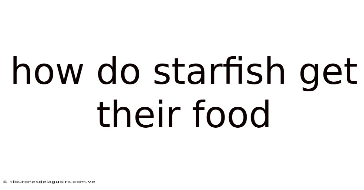 How Do Starfish Get Their Food