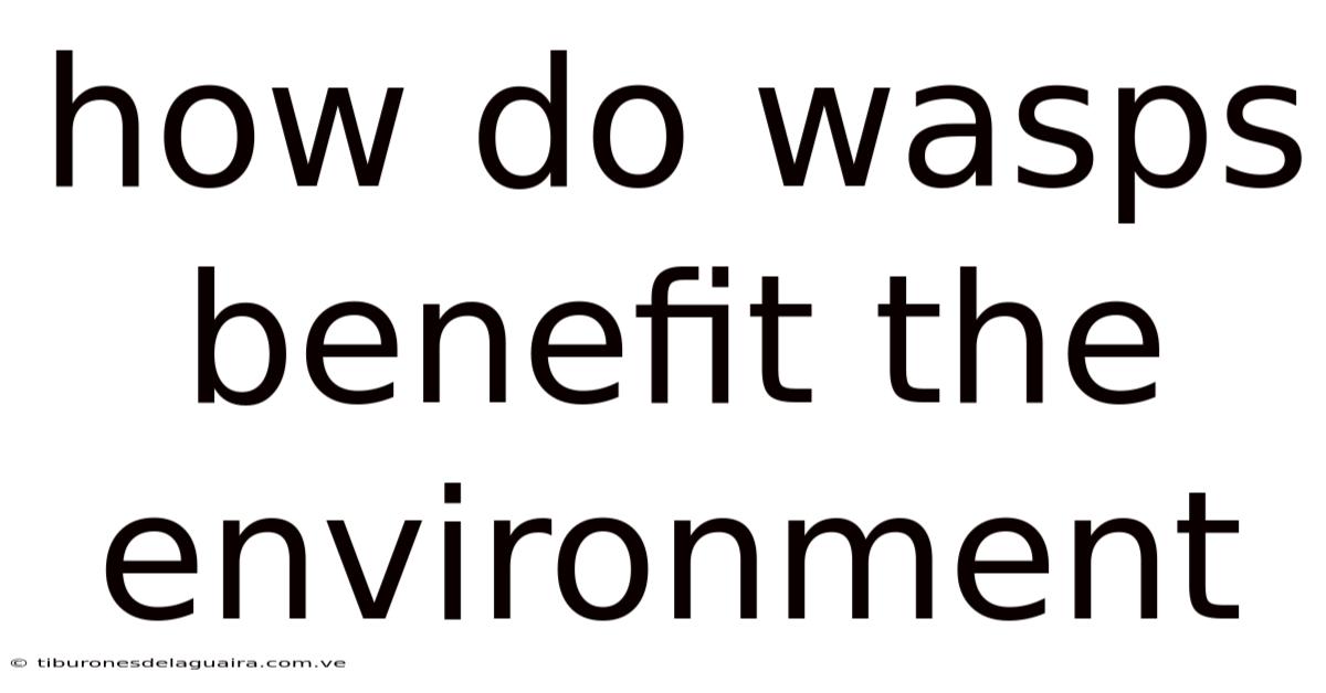 How Do Wasps Benefit The Environment