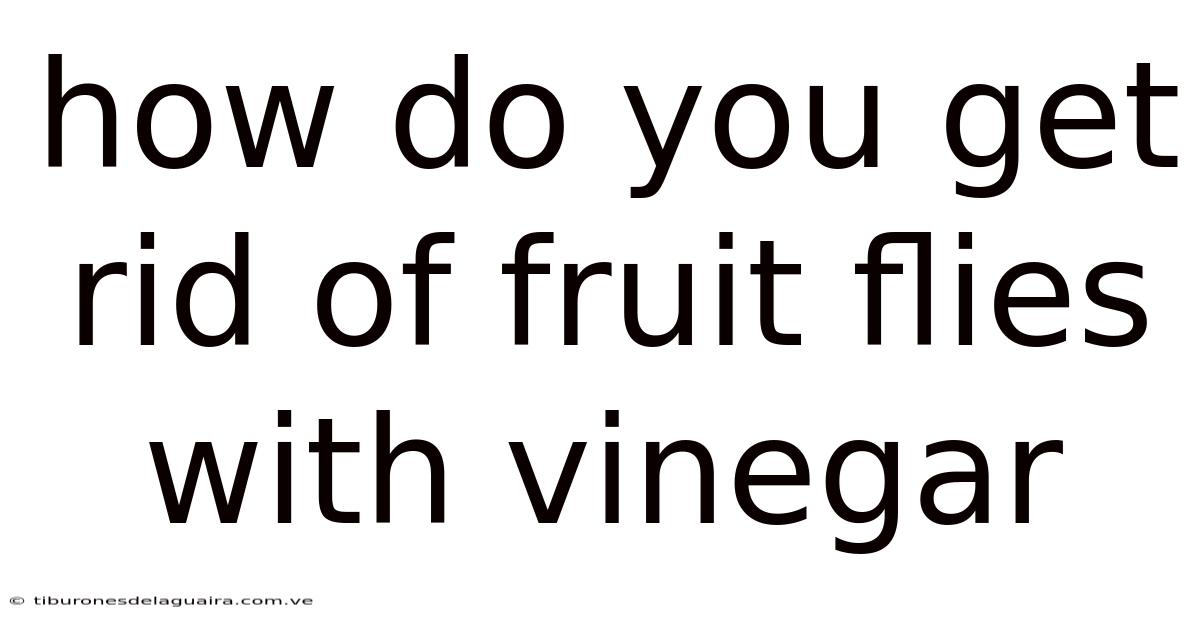 How Do You Get Rid Of Fruit Flies With Vinegar