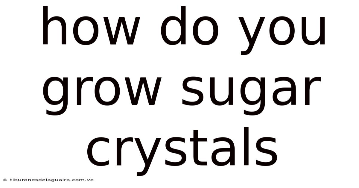 How Do You Grow Sugar Crystals