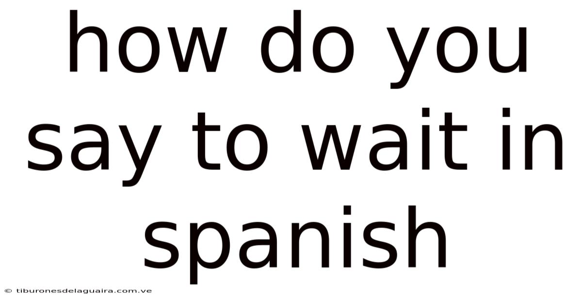 How Do You Say To Wait In Spanish