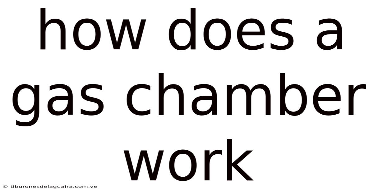 How Does A Gas Chamber Work