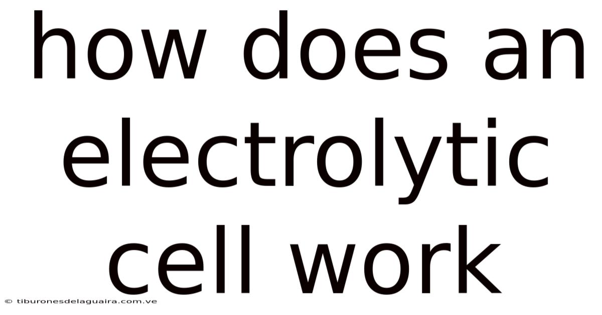 How Does An Electrolytic Cell Work