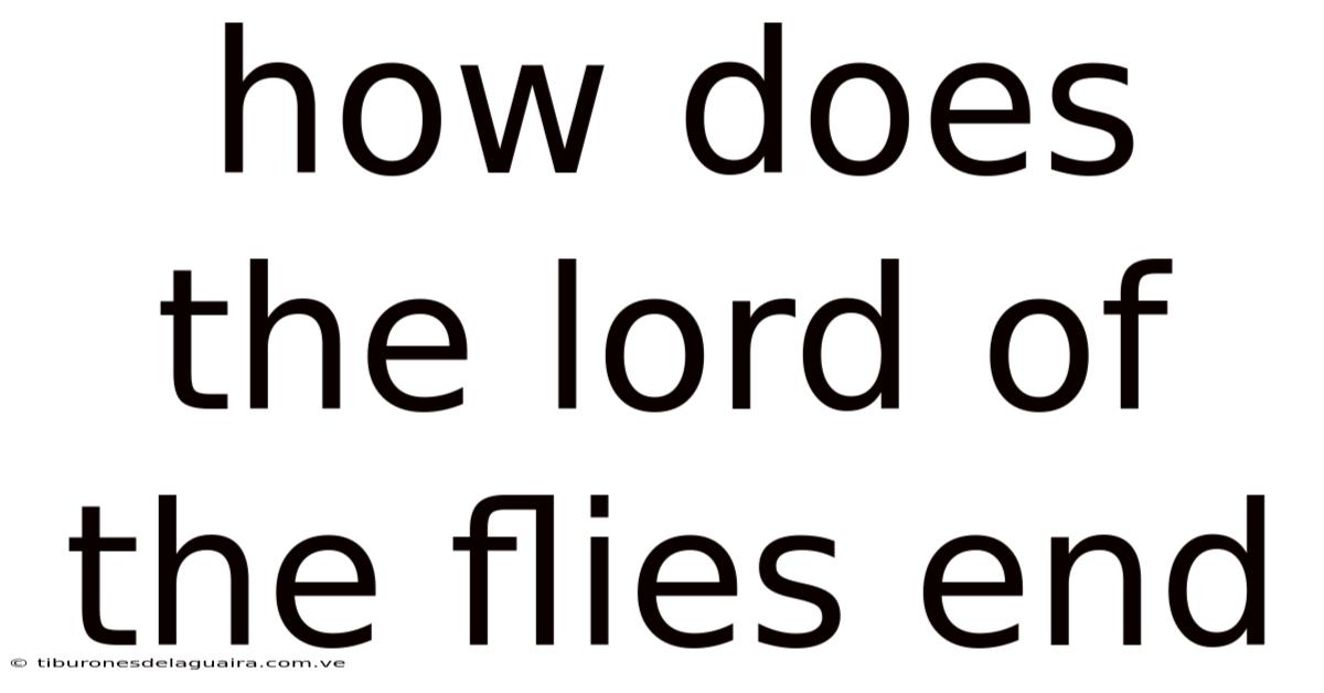How Does The Lord Of The Flies End