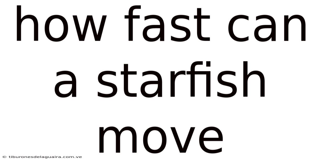 How Fast Can A Starfish Move