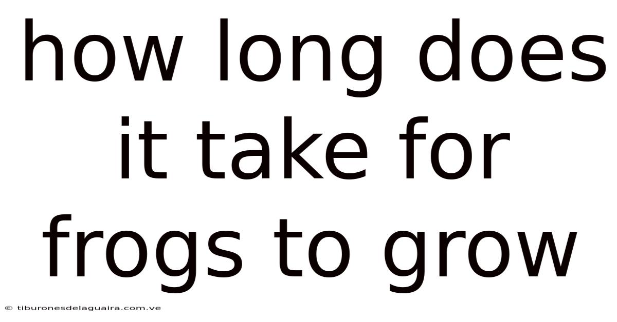 How Long Does It Take For Frogs To Grow