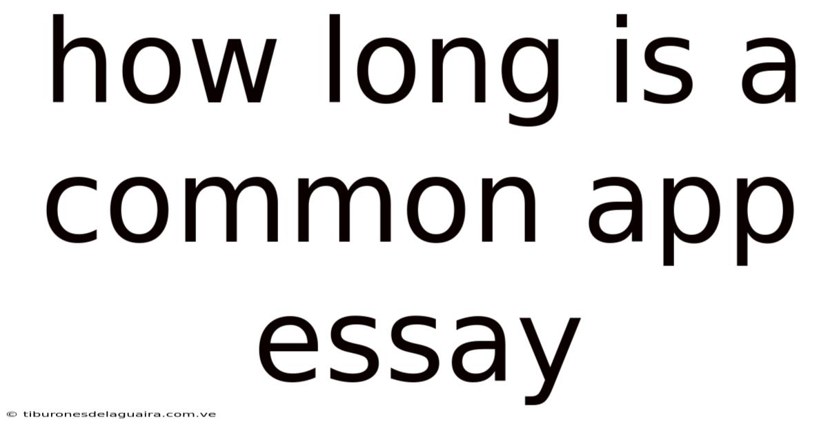 How Long Is A Common App Essay