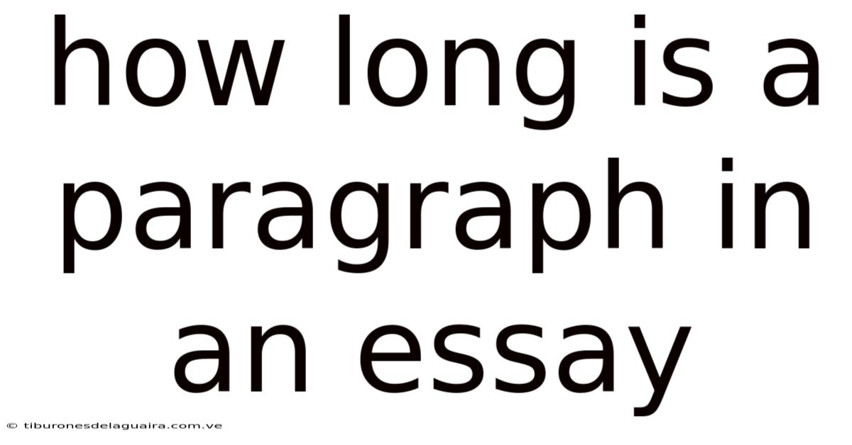 How Long Is A Paragraph In An Essay