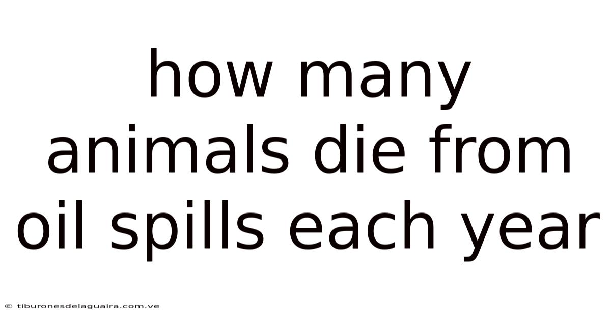 How Many Animals Die From Oil Spills Each Year