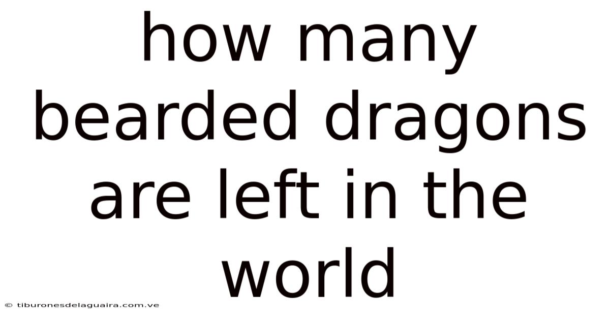 How Many Bearded Dragons Are Left In The World
