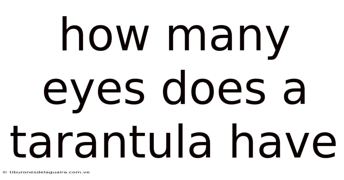 How Many Eyes Does A Tarantula Have