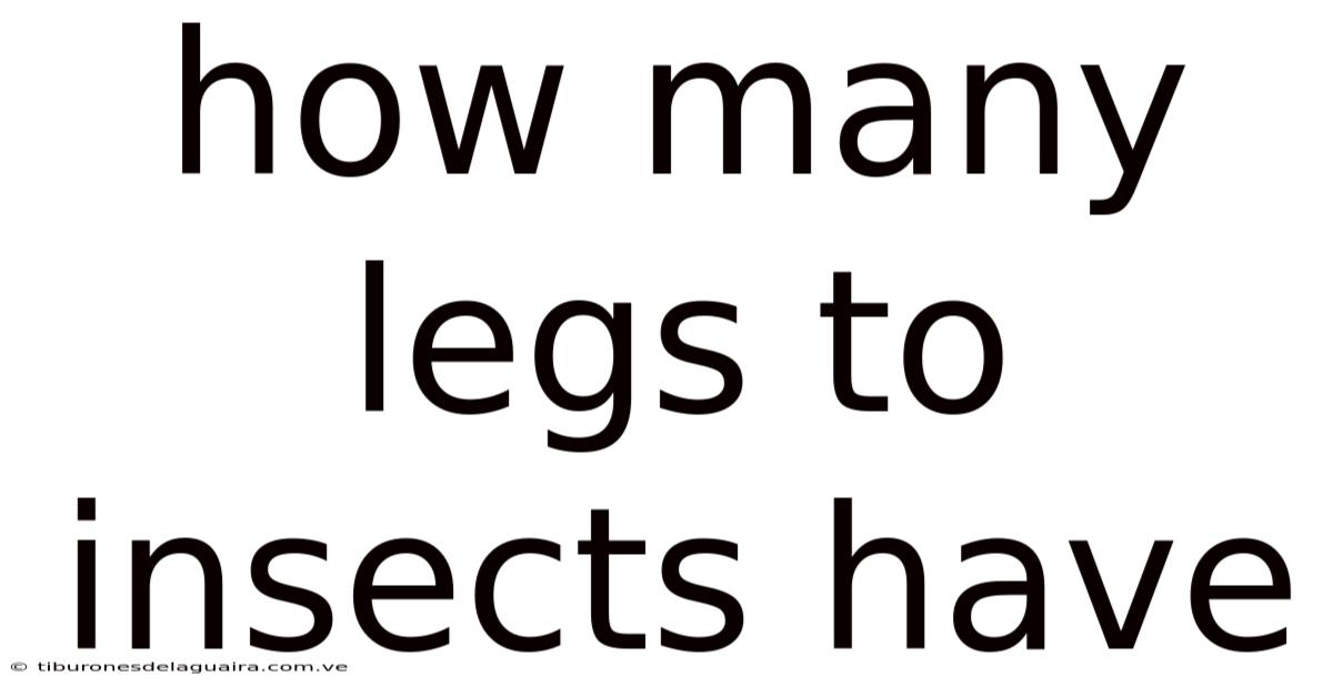 How Many Legs To Insects Have
