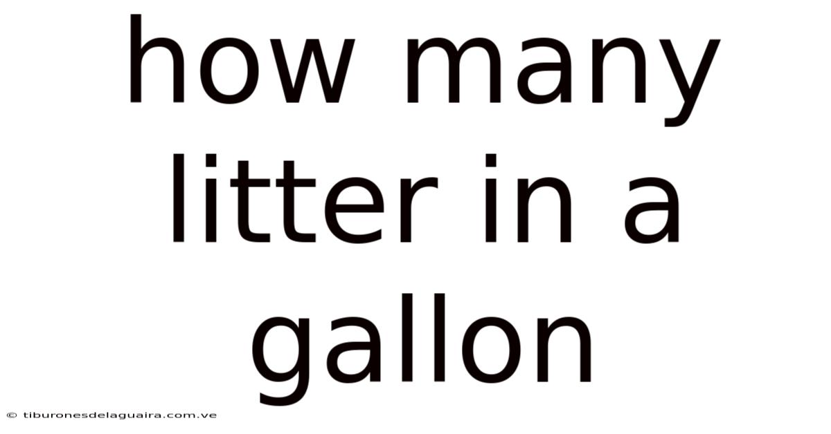 How Many Litter In A Gallon