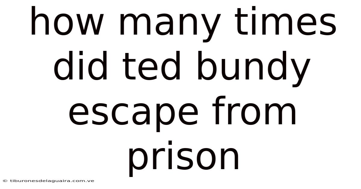 How Many Times Did Ted Bundy Escape From Prison
