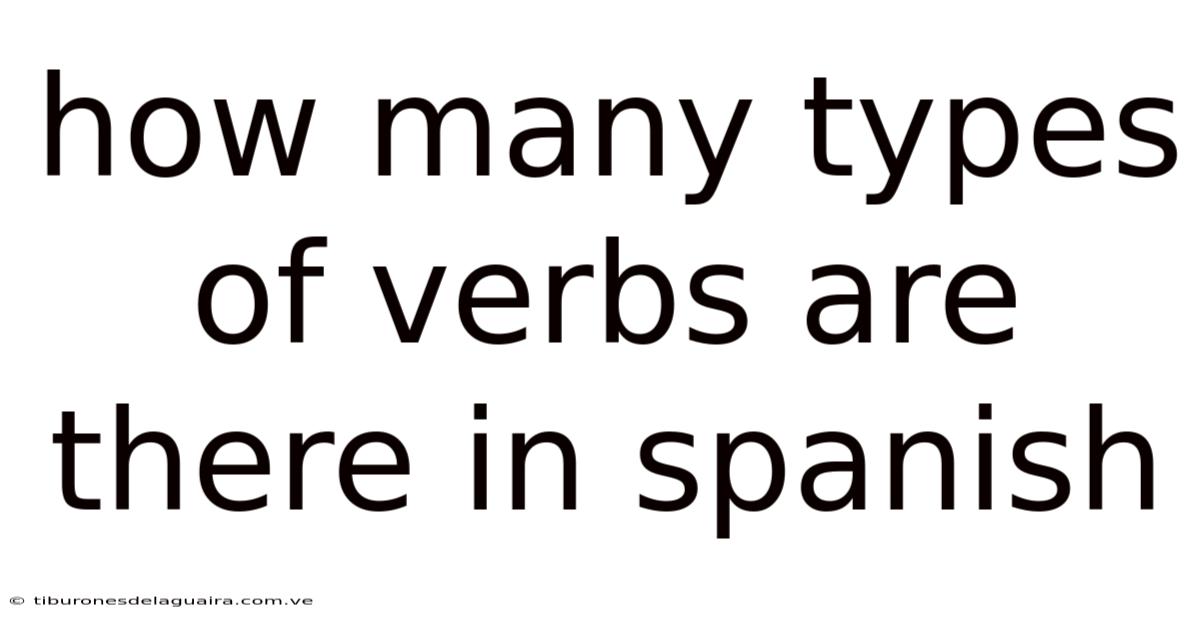 How Many Types Of Verbs Are There In Spanish