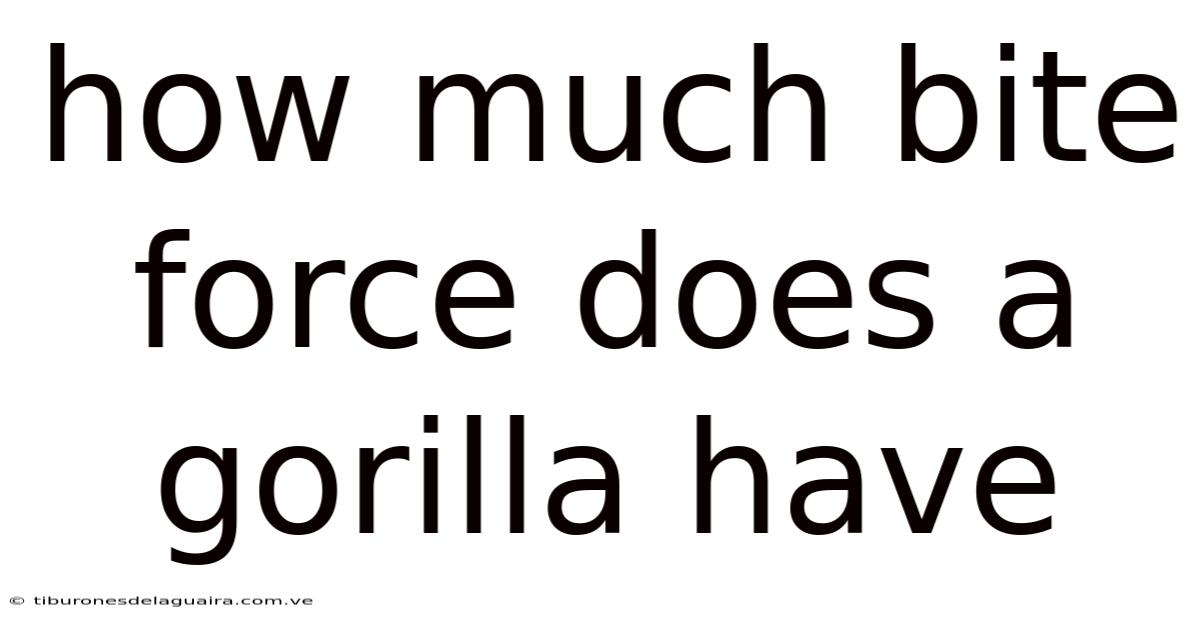 How Much Bite Force Does A Gorilla Have