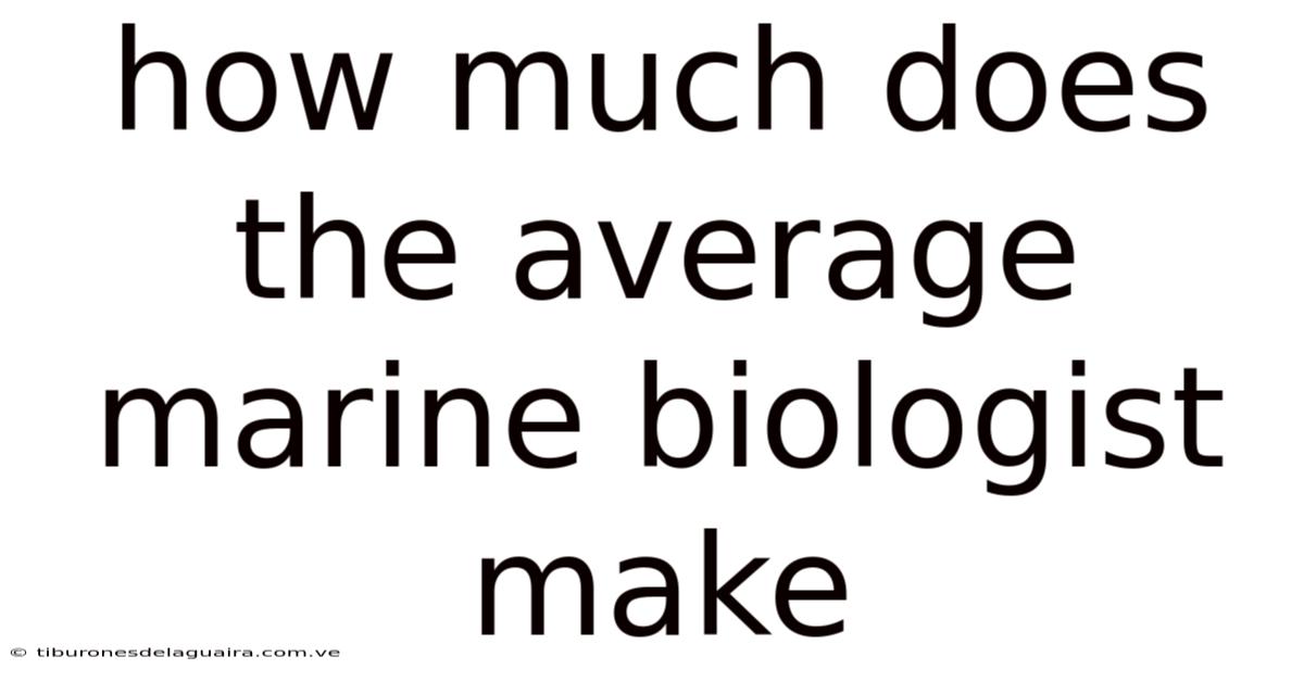How Much Does The Average Marine Biologist Make
