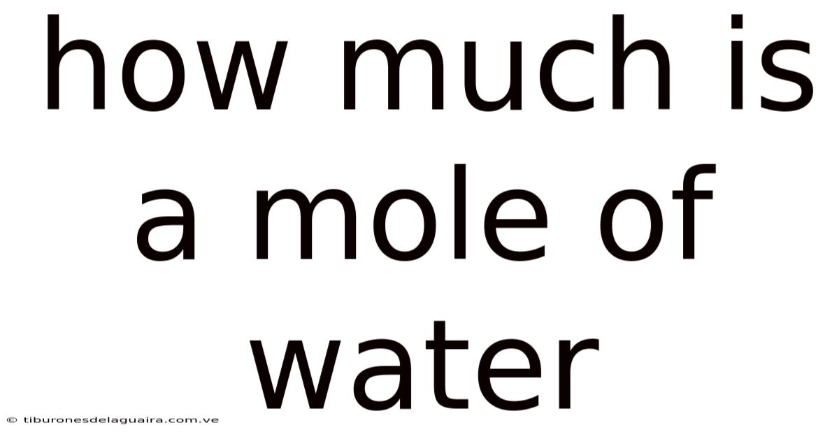 How Much Is A Mole Of Water