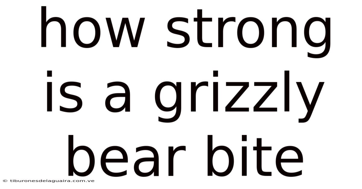 How Strong Is A Grizzly Bear Bite