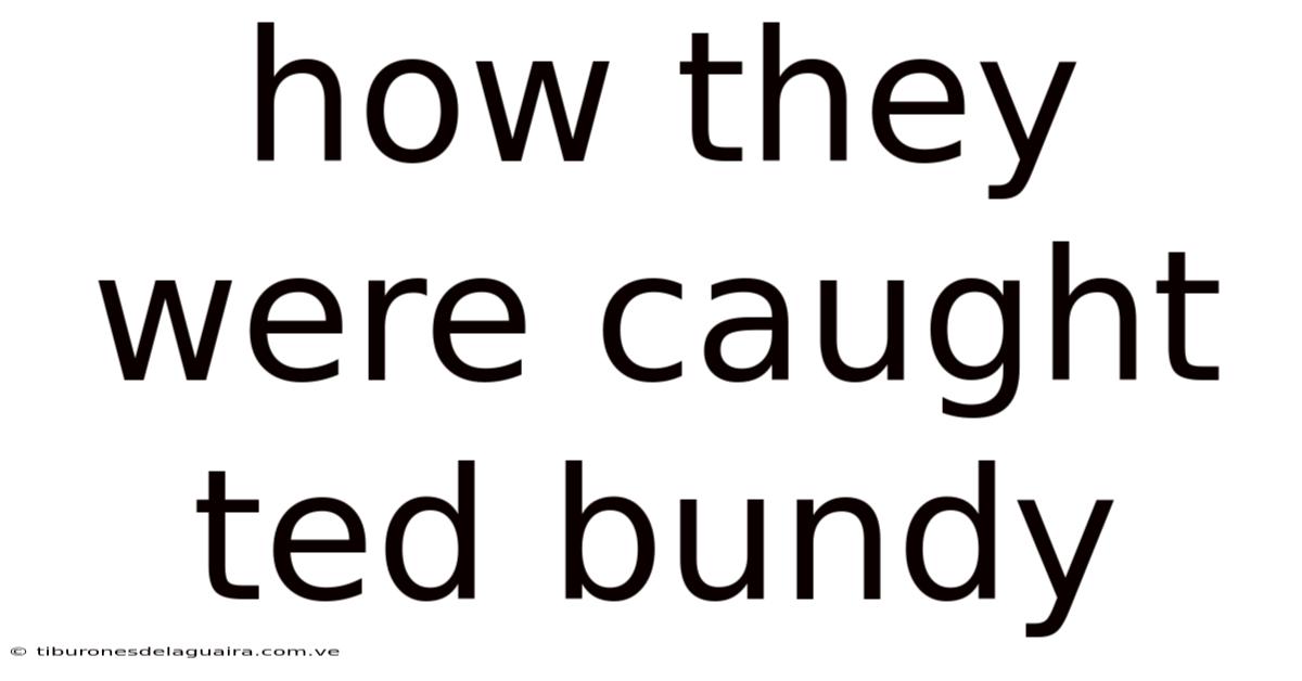 How They Were Caught Ted Bundy
