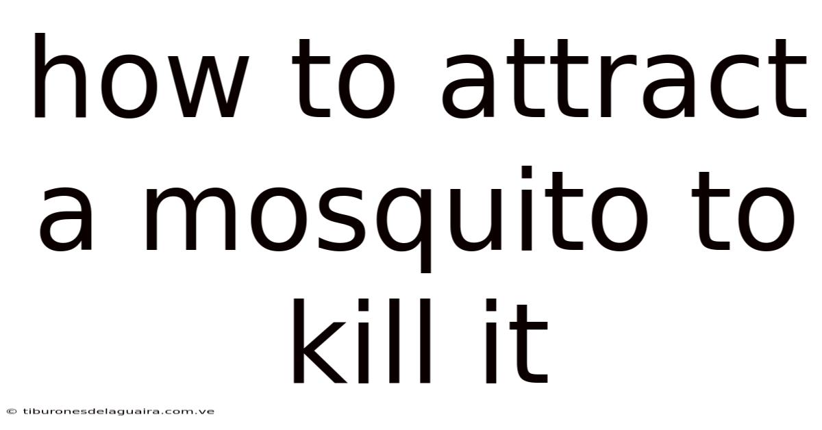 How To Attract A Mosquito To Kill It