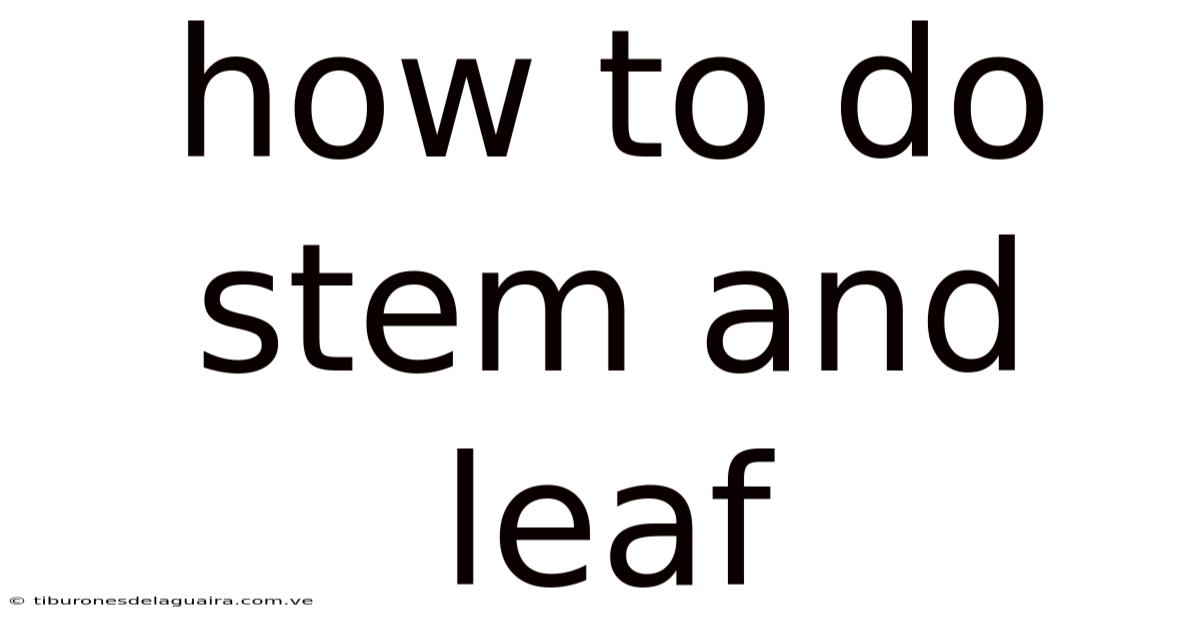 How To Do Stem And Leaf