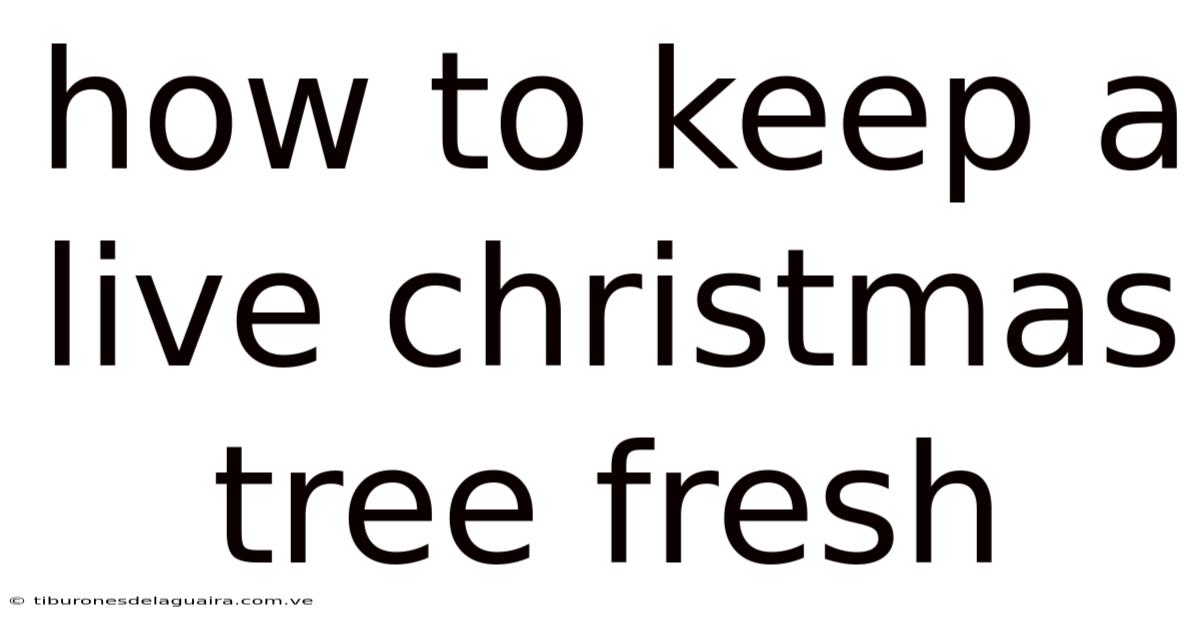 How To Keep A Live Christmas Tree Fresh