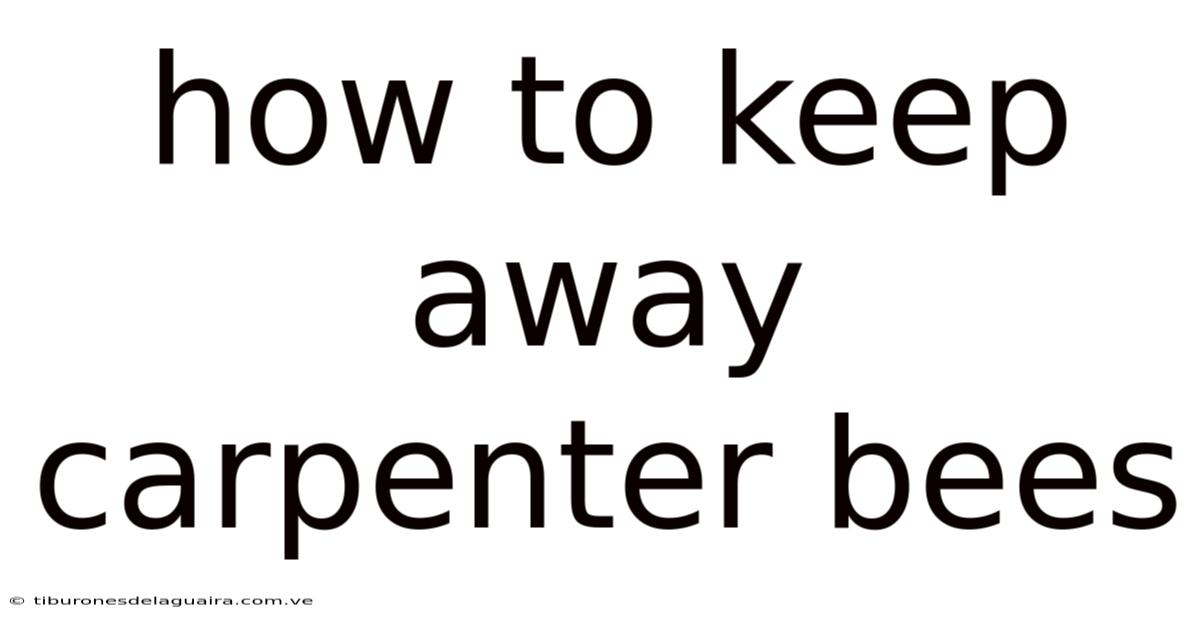How To Keep Away Carpenter Bees
