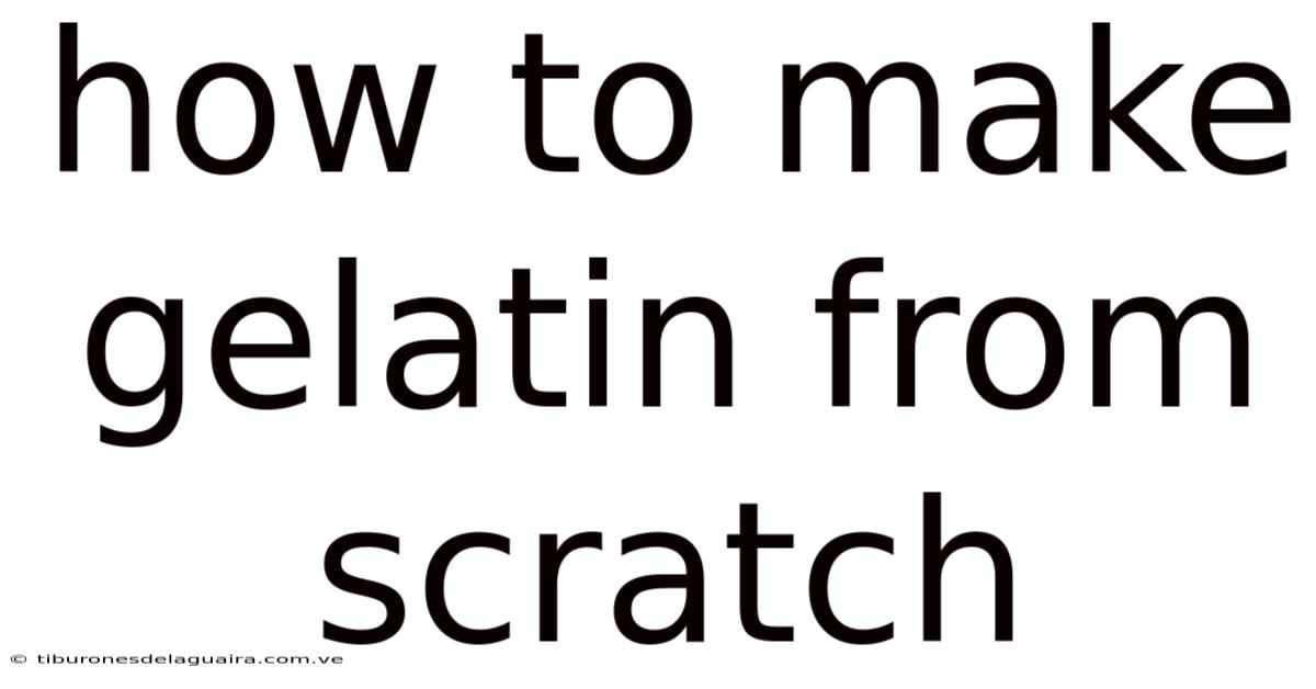 How To Make Gelatin From Scratch