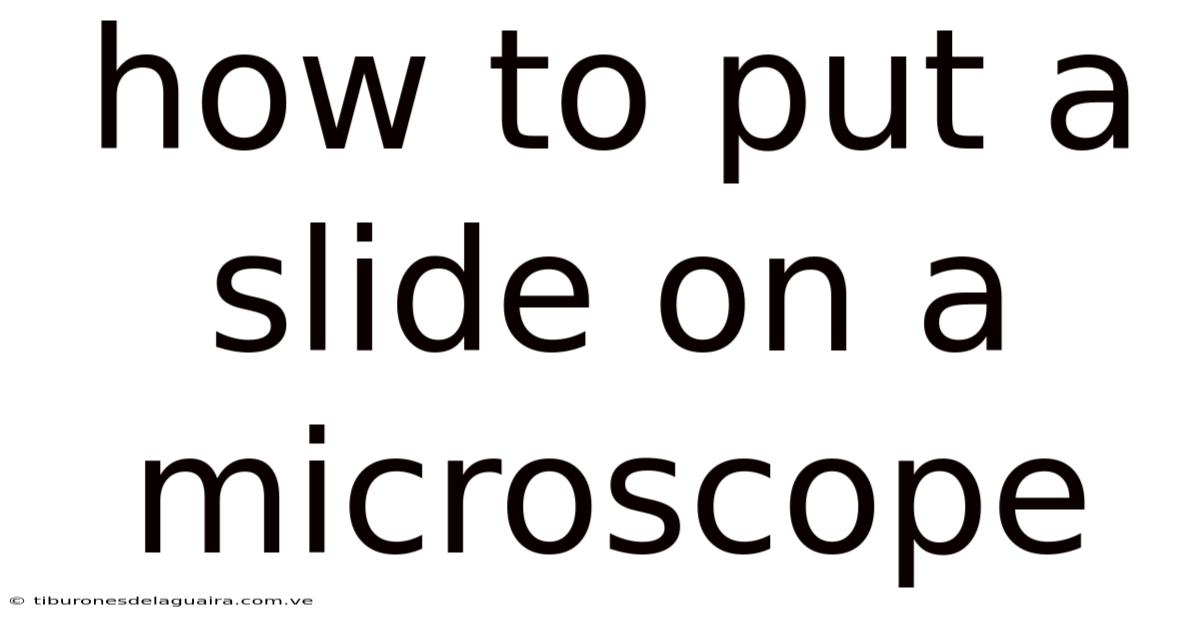 How To Put A Slide On A Microscope