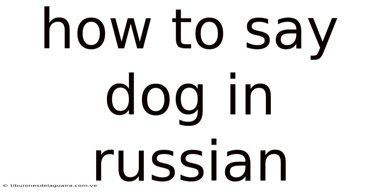 How To Say Dog In Russian
