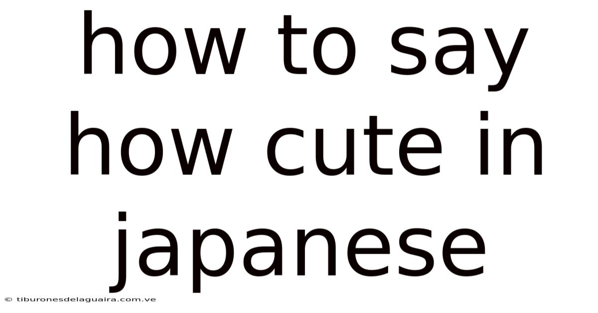 How To Say How Cute In Japanese